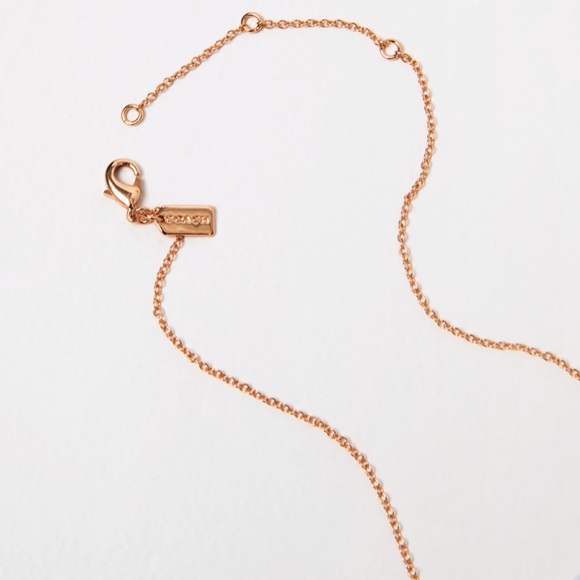 COACH Rose Gold Open Circle Necklace & Tea Rose Earring Set - Picture 7 of 10